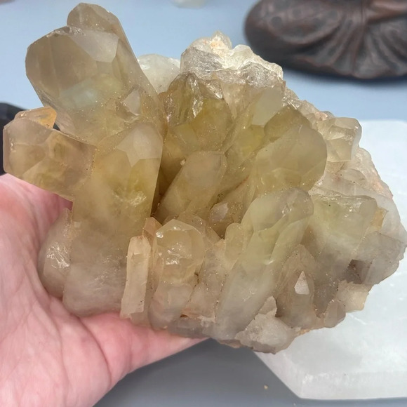 Natural Citrine Cluster Specimen - Picture 6 of 6